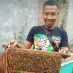 kunyit Balank (1) Balank Kunyit