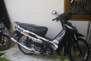 Yamaha F1ZR 2002