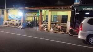 Showroom Motor Bekas Ujay (6) Showroom Motor Bekas Ujay