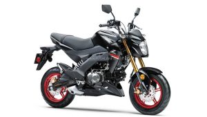 Kawasaki Z125 Pro 2021