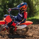 KTM 50 dan 65 SX Model Year 2024, Mini Crosser Siap Balap